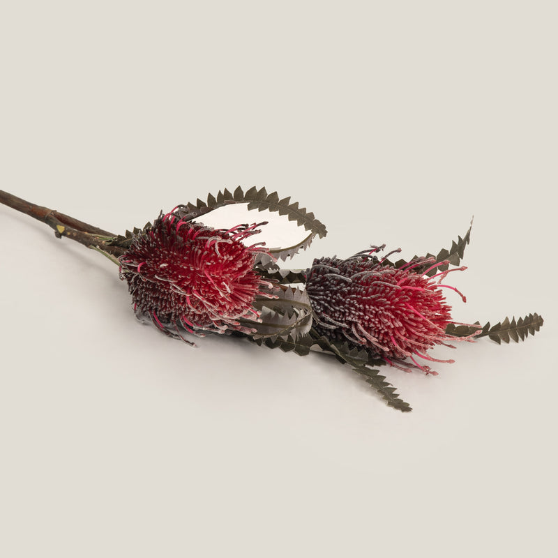 Shop Red Hairpin Banksia Flower Online in India