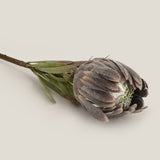 Shop Grey Queen Protea Flower Online in India