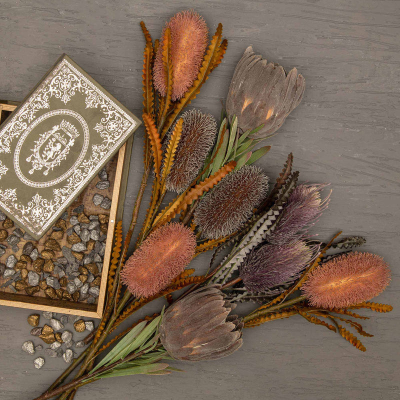 Grey Queen Protea Flower