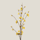 Buy Yellow Japanese Cherry Blossom Flower Online in India