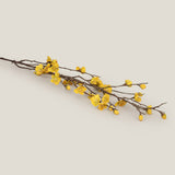 Shop Yellow Japanese Cherry Blossom Flower Online in India