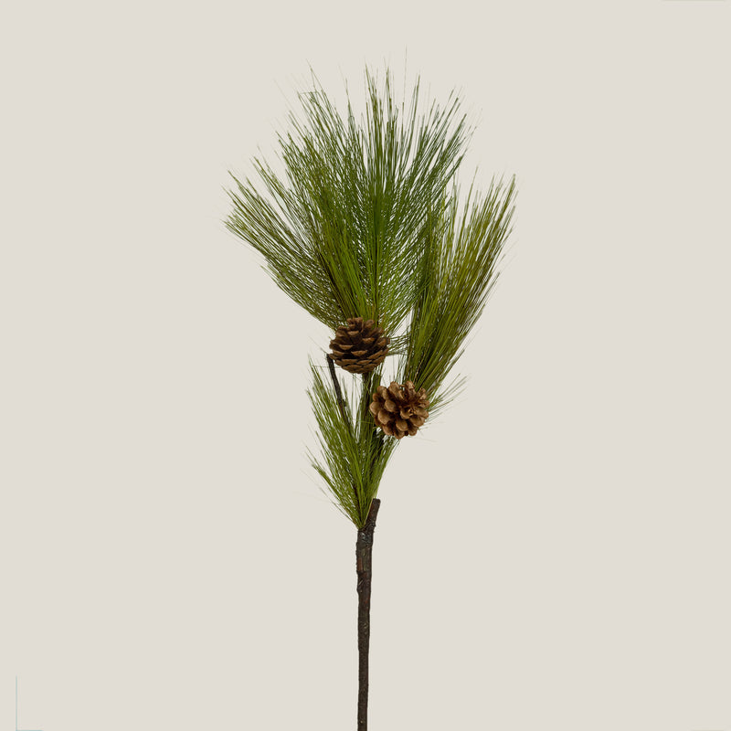 Green Pine Needle Branch