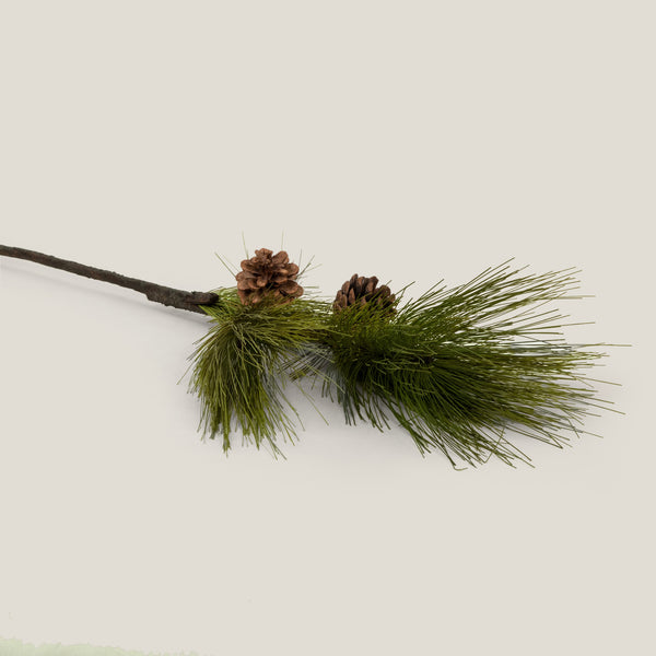 Green Pine Needle Branch