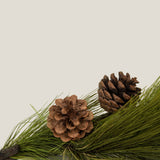 Green Pine Needle Branch