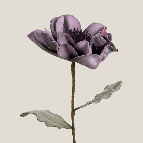 Purple  Primsrose Flower