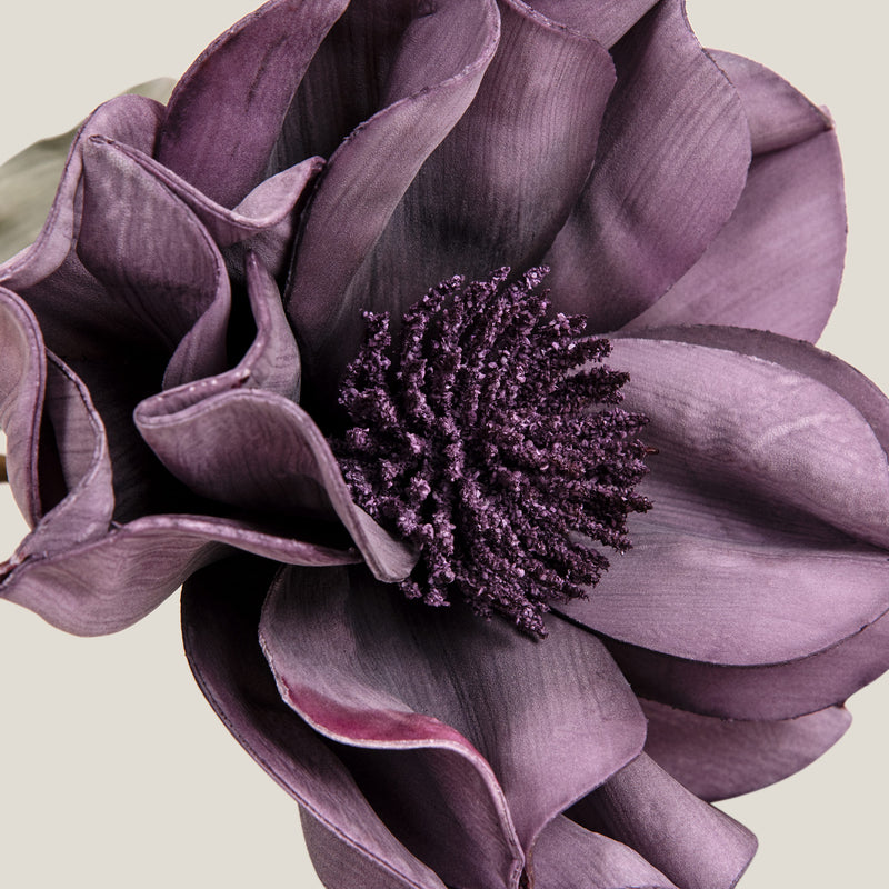 Purple  Primsrose Flower