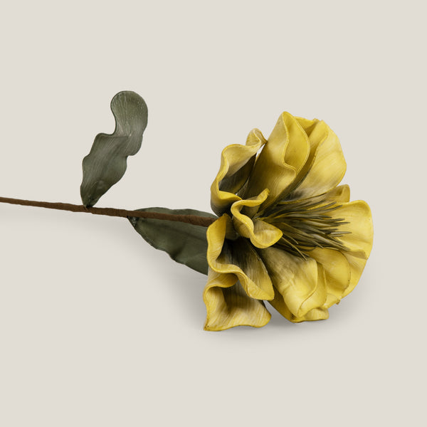 Yellow Canna Flower