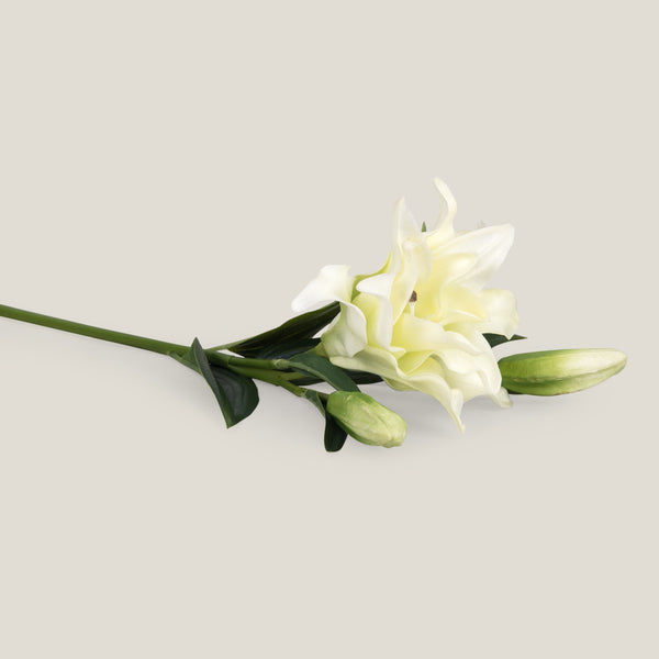Off White Velvet Lily Flower