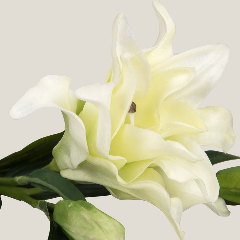 Off White Velvet Lily Flower