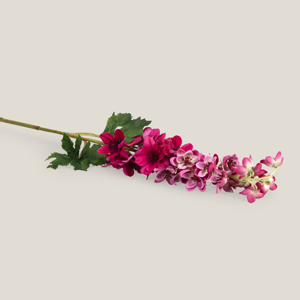 Pink Delphinium Flower