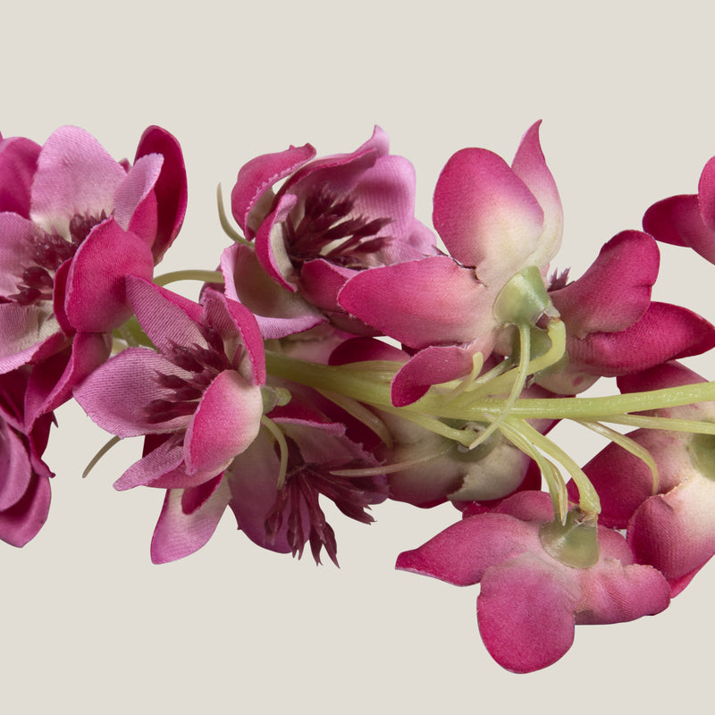 Pink Delphinium Flower