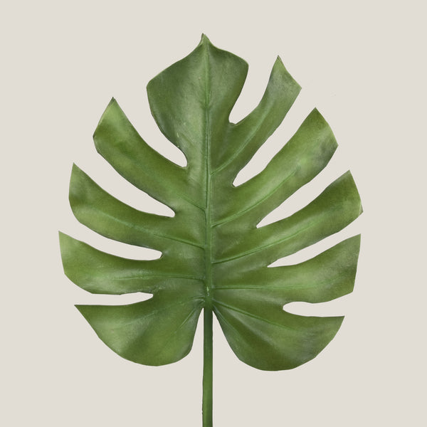 Green Oasis Monstera Leaf