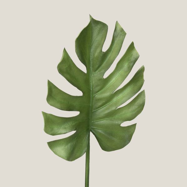 Green Oasis Monstera Leaf