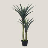 Yucca Green Potted Tree S