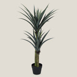 Yucca Green Potted Tree S