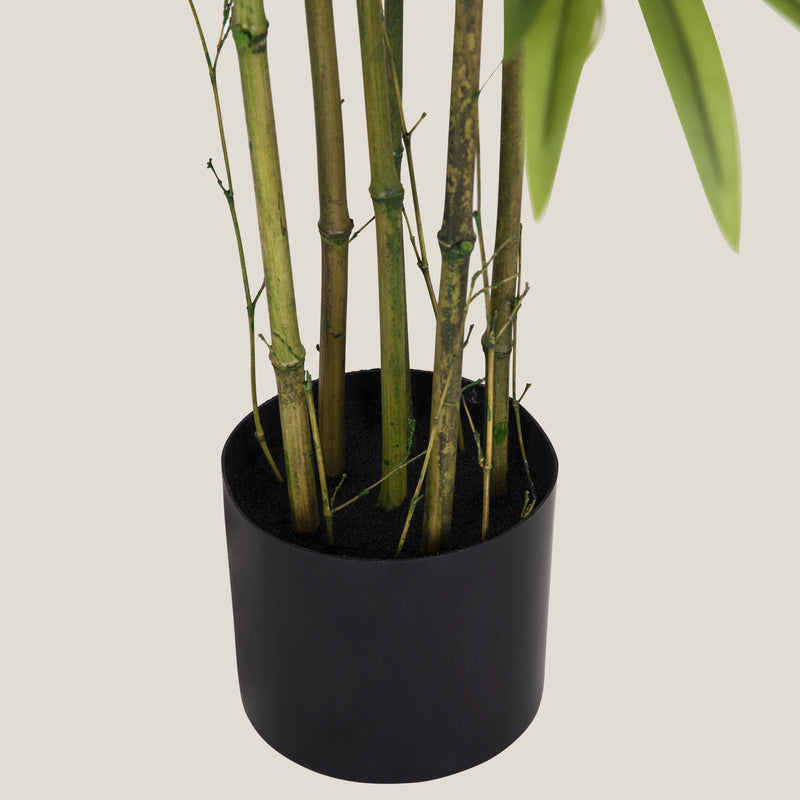 Bamboo Green Potted Tree