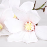 White Magnolia Flower Small