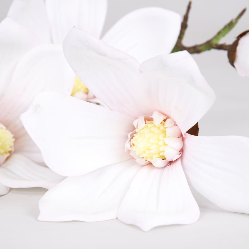 White Magnolia Flower Small
