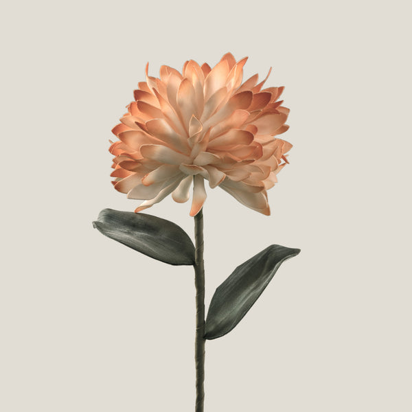 Orange & Off White Chrysanthemum Flower