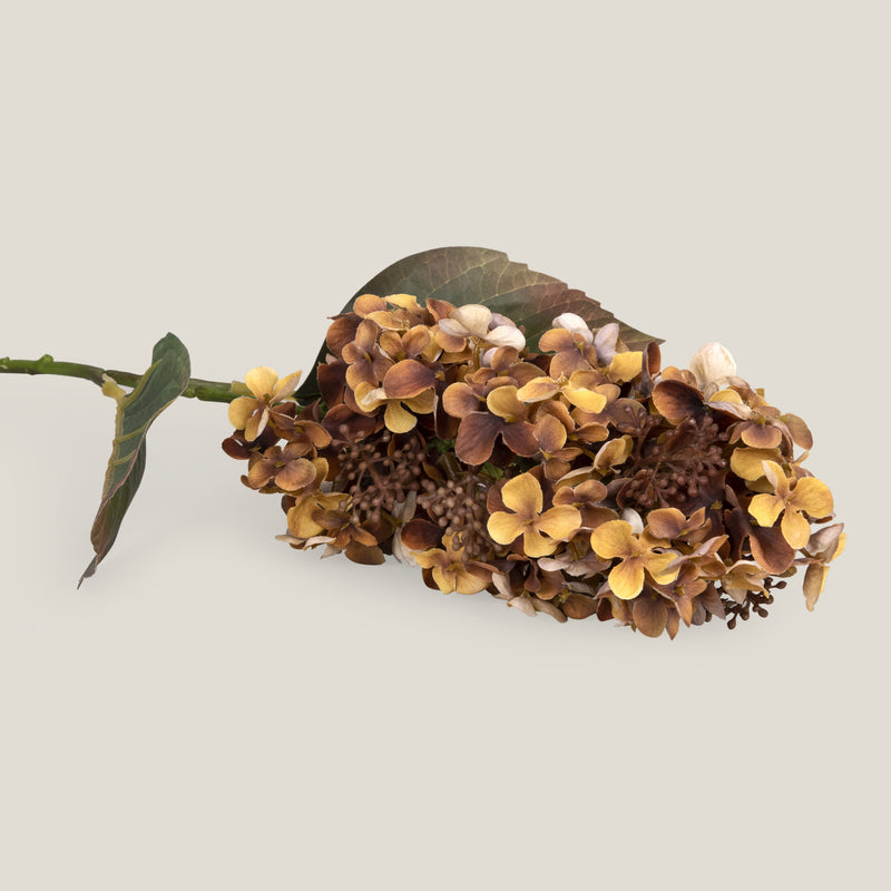 Yellow & Brown Hydrangea Paniculata Faux Flower
