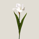 Off White Iris Faux Flower