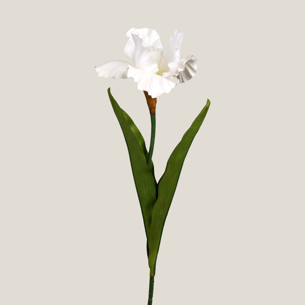 Off White Iris Faux Flower