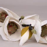 Magnolia White Flower Branch