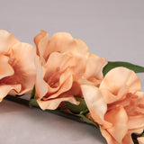 Orange Gladiolus Flower
