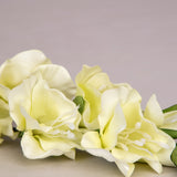 Off White Gladiolus Flower