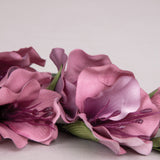 Pink Gladiolus Flower