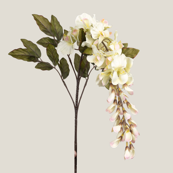 Off White Wisteria Flower Branch