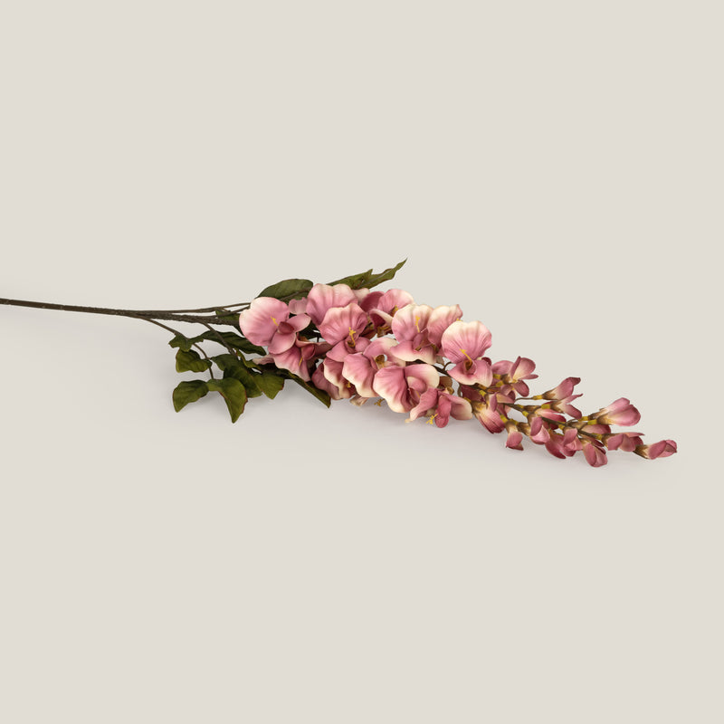 Pink Wisteria Flower Branch