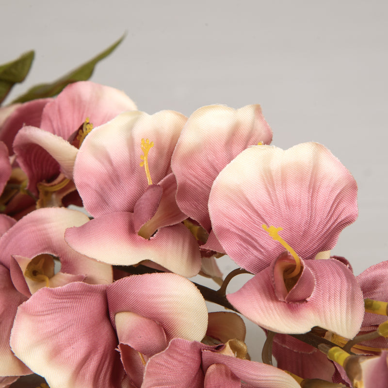 Pink Wisteria Flower Branch