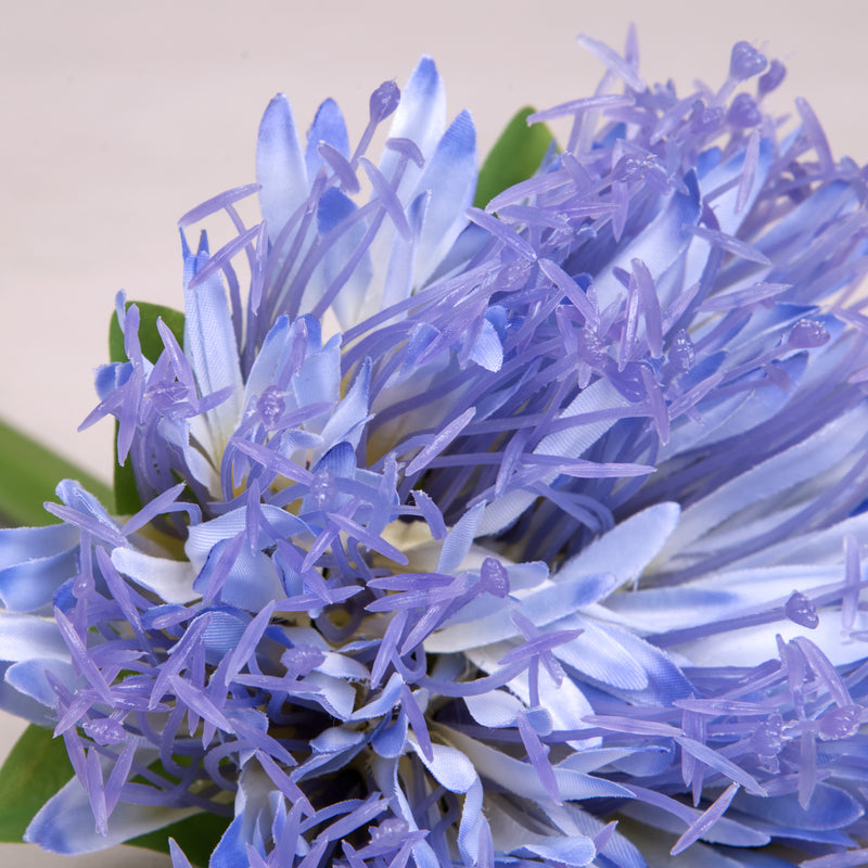 Blue Cornflower Flower