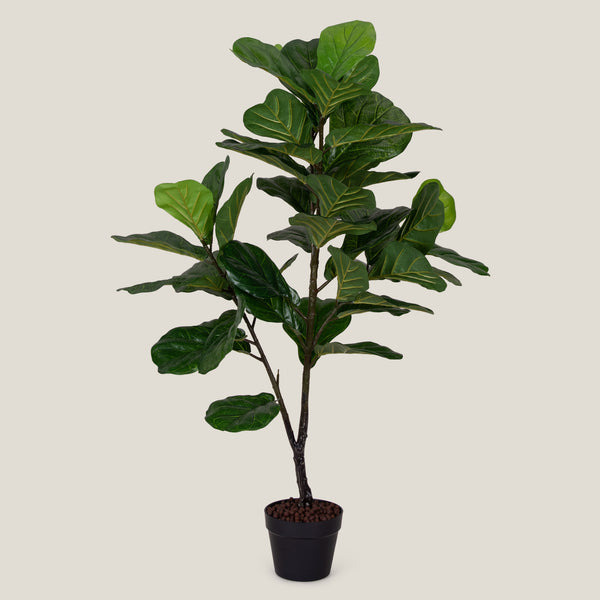 Fiddle Leaf Green Potted Plant