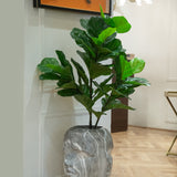 Fiddle Leaf Green Potted Plant