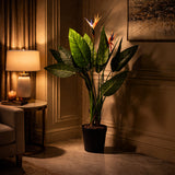 Bird Of Paradise Green Potted Plant