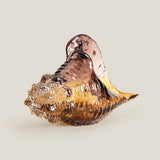 Triton Purple & Amber Shell Decor L