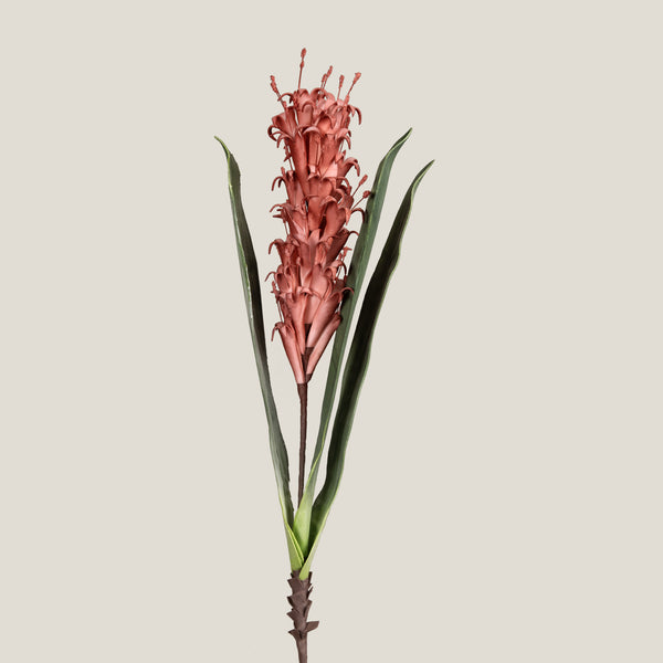 Blush Ginger Lily Stem Flower