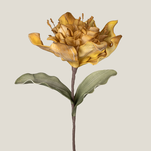 Yellow Mystic Dahlia Flower