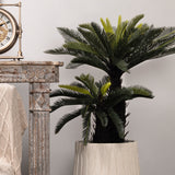 Sago Palm Green Potted Tree