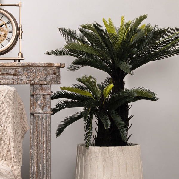 Sago Palm Green Potted Tree