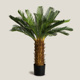Sago Palm Green Potted Tree L