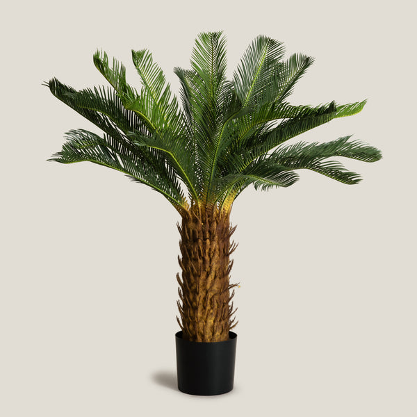 Sago Palm Green Potted Tree L