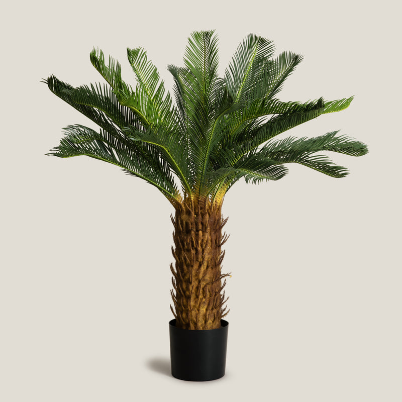 Sago Palm Green Potted Tree L