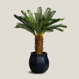 Sago Palm Green Potted Tree L