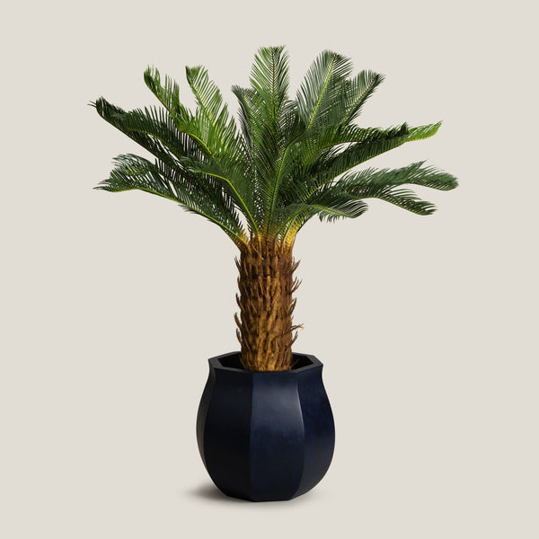 Sago Palm Green Potted Tree L