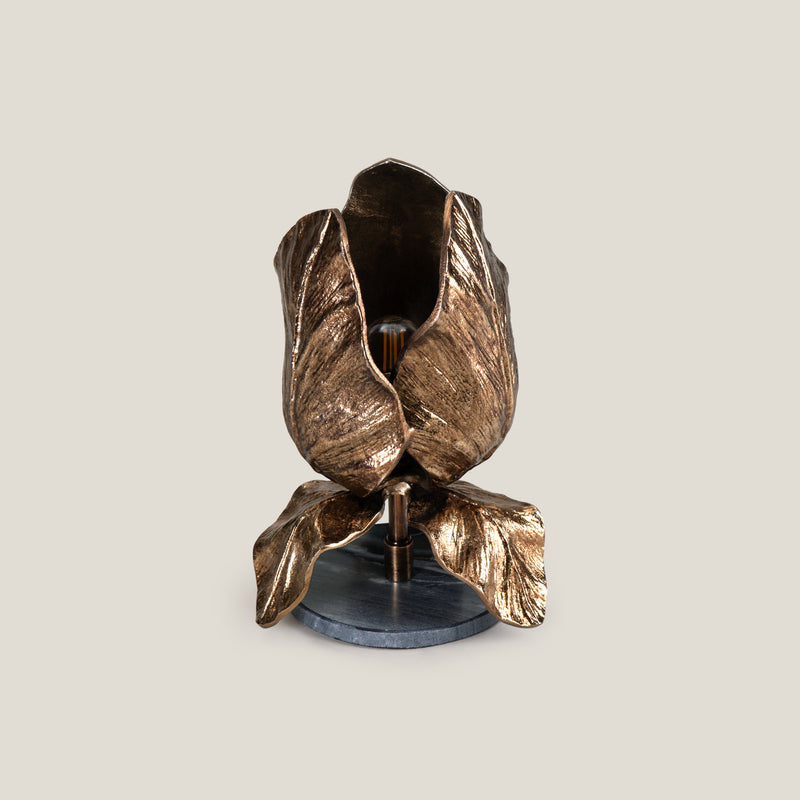 Flos Brass Table Lamp S