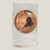 Brown & Clear Sphaera Globe
