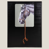 Bridle Black Framed Canvas